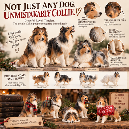 24 Days of Collie Memories — 24 Little Reminders of the Dog You Never Forget ❤️🐾