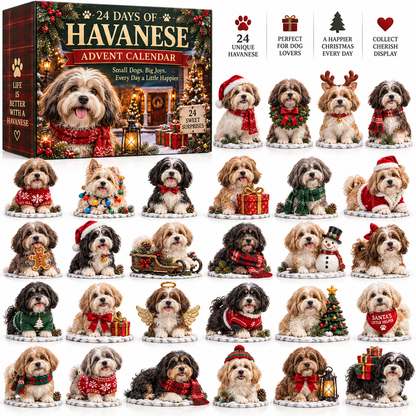24 Days of Havanese Joy – A Christmas Collection for Havanese Lovers🐾🎄