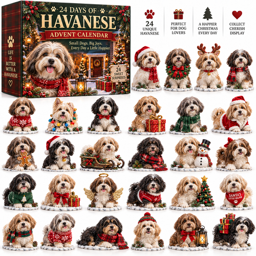 24 Days of Havanese Joy – A Christmas Collection for Havanese Lovers🐾🎄