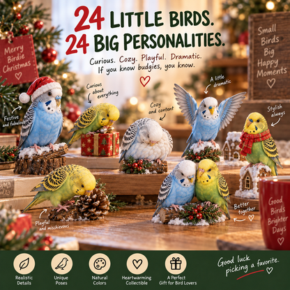 24 Days of Budgie Joy – 24 Little Birds, 24 Big Personalities 🐦❤️