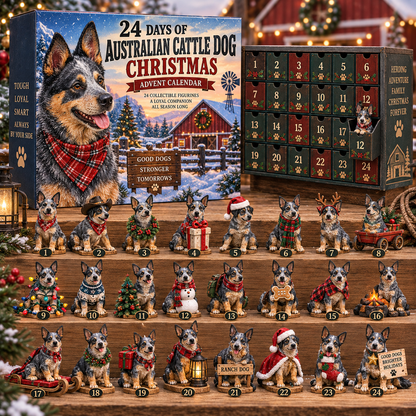 24 Days With Your Best Buddy – Blue Heeler Christmas Advent Calendar