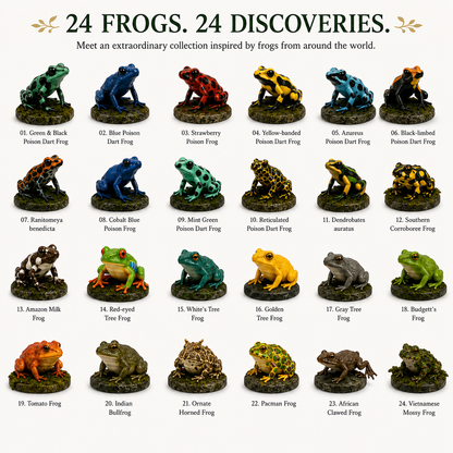 Frogs of the World– 24-Day Realistic Frog Advent Calendar