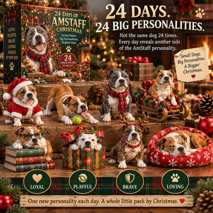 24 Days of AmStaff Christmas – 24 Big Personalities, One Loyal Pack 🐾🎄