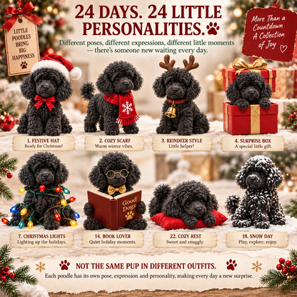 🐩24 Days of Poodle Joy – A Little Companion for Every Day