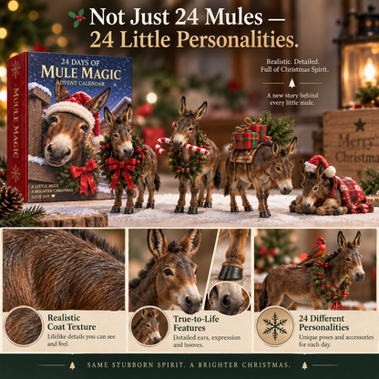 24 Days of Mule Magic – Christmas Advent Calendar 🫏🎄