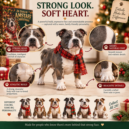 24 Days of AmStaff Christmas – 24 Big Personalities, One Loyal Pack 🐾🎄