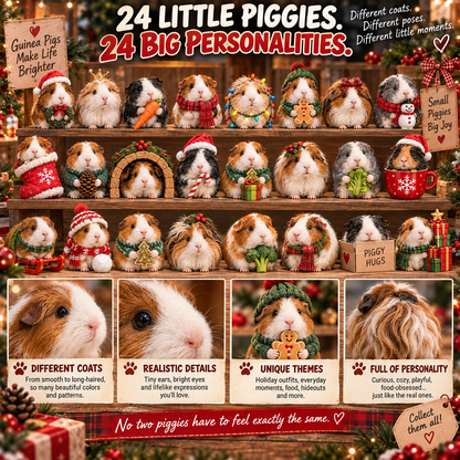🐹🎄24 Days of Guinea Pig Joy – Tiny Paws, Big Personalities & Christmas Surprises