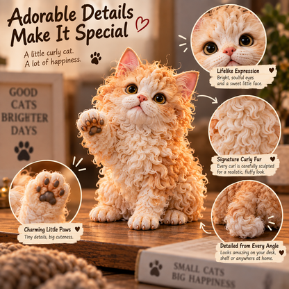 24 Days of Curly Chaos – Selkirk Rex Collectible Countdown Meet 24 Different Little Personalities, One Curl at a Time.