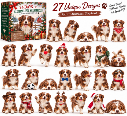 🐾 24 Days of Australian Shepherds — 24 Little Aussies, 24 Big Personalities