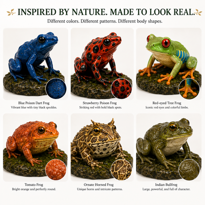 Frogs of the World– 24-Day Realistic Frog Advent Calendar