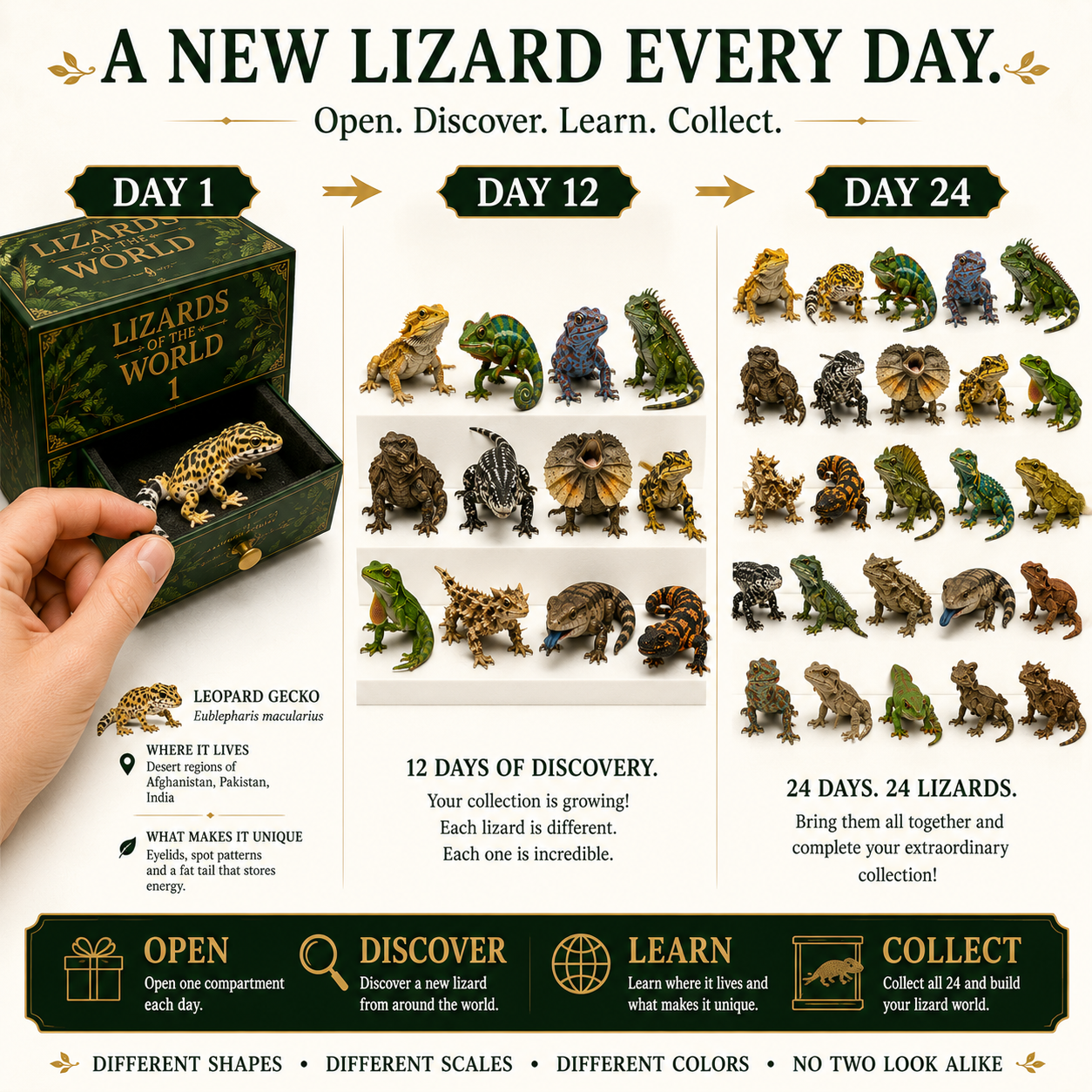 24 Lizards. 24 Discoveries. One Extraordinary Collection. 🦎🌎