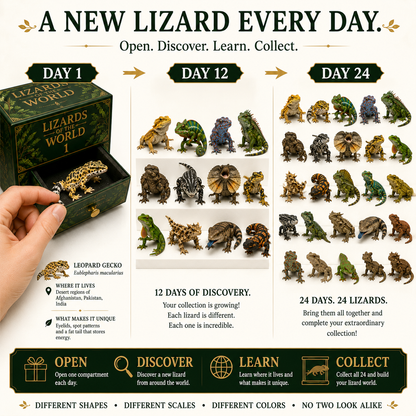 24 Lizards. 24 Discoveries. One Extraordinary Collection. 🦎🌎
