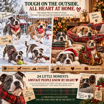 24 Days of AmStaff Christmas – 24 Big Personalities, One Loyal Pack 🐾🎄
