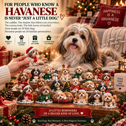 24 Days of Havanese Joy – A Christmas Collection for Havanese Lovers🐾🎄
