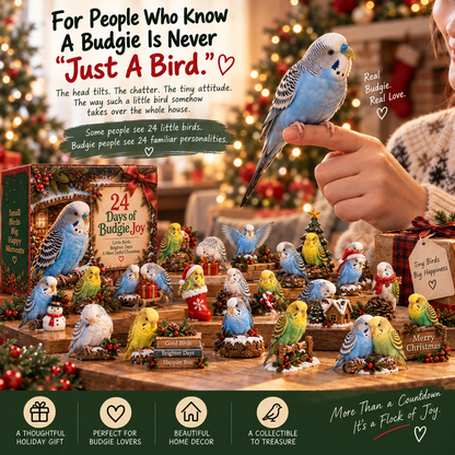 24 Days of Budgie Joy – 24 Little Birds, 24 Big Personalities 🐦❤️