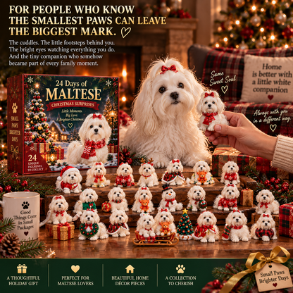 24 Days of Maltese Joy – A Christmas Collection of Little Moments & Big Love🐾❤️