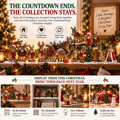 🫏 Kind Ears, Brighter Days — 24-Day Donkey Christmas Collection