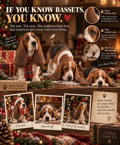 24 Days of Basset Hound Joy — 24 Long-Eared Personalities to Love 🐾🎄