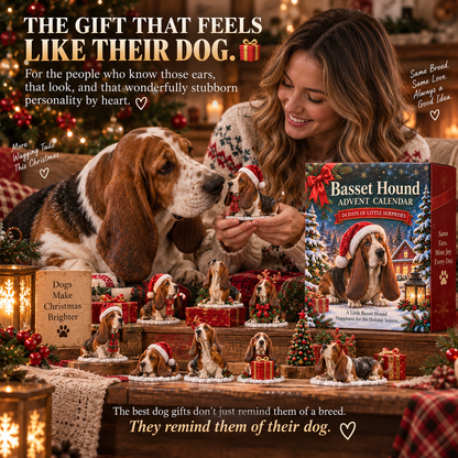 24 Days of Basset Hound Joy — 24 Long-Eared Personalities to Love 🐾🎄
