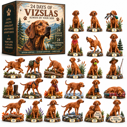 🐾 24 Days of Vizslas — Always By Your Side